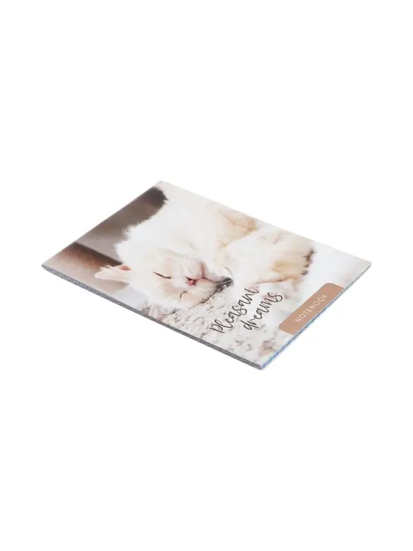 Набор блокнотов А6 40л кл на скобе Сладкий сон, мел карт, бл офс, 4В 20шт