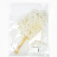 Сухоцвет Папоротник МИКС, 10 шт в упаковке