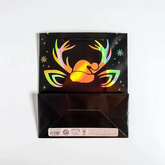 Пакет голография «Новый год», ML 23 х 27 х 11.5 см