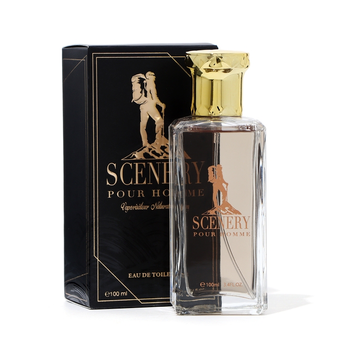 Туалетная вода мужская Scenery, 100 мл Туалетная вода мужская Scenery, 100 мл