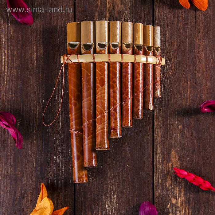 Сувенирный музыкальный инструмент Сувенирный музыкальный инструмент "Флейта Пана" 21х13х2 см,МИКС,