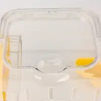 Клетка-переноска для грызунов, 23 х 17 х 16 см, прозрачная Клетка-переноска для грызунов, 23 х 17 х 16 см, прозрачная