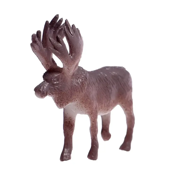 Набор фигурок животных &laquo;Удивительный мир&raquo;, 12 предметов