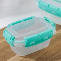 Набор пищевых герметичных контейнеров Альт-Пласт, 3 шт.: 380 мл, 0.8 л, 1.5 л, прозрачные, крышка голубая