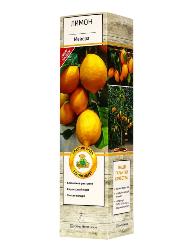 Цитрус Цитрус "Лимон Мейера", туба, 1 шт, Весна 2025