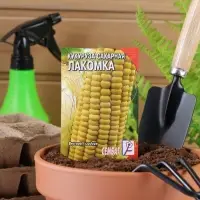 Семена Кукуруза сахарная &laquo;Лакомка&raquo;, 5 г, &laquo;Сембат&raquo;