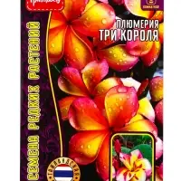 Семена цветов Плюмерия Три Короля  3 шт.  12.29 г.