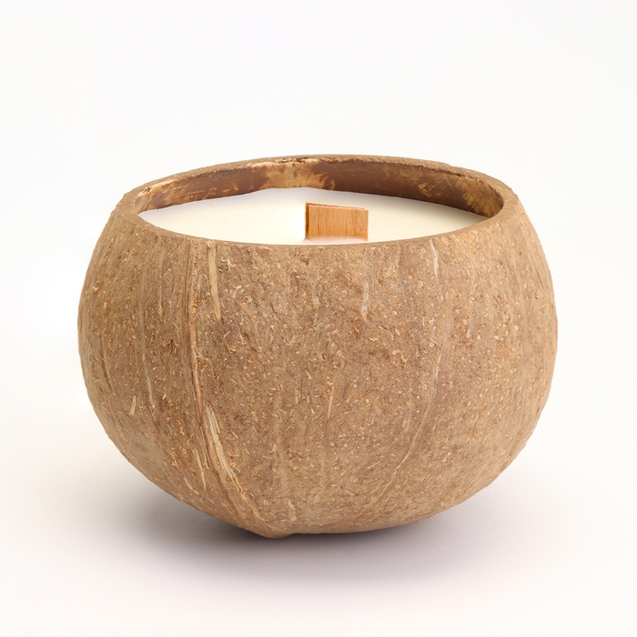 Свеча в кокосе ароматическая, сандал, соевый воск, 8х10 см, в коробке Свеча в кокосе ароматическая, сандал, соевый воск, 8х10 см, в коробке