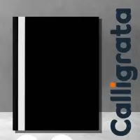 Папка-скоросшиватель Calligrata, А4, 120 мкм, чёрная, прозрачный верх