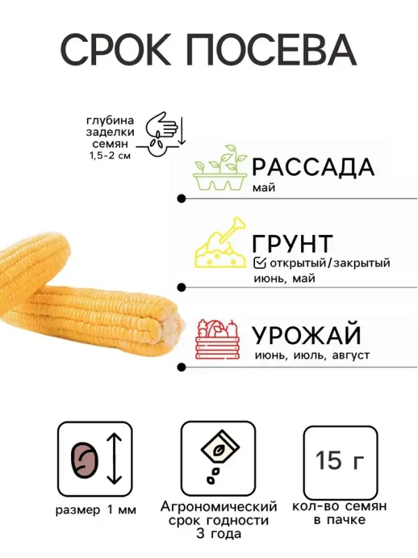 Семена Кукуруза &laquo;Лакомка Белогорья&raquo;, &laquo;Агроуспех Много-Выгодно&raquo; 15 г