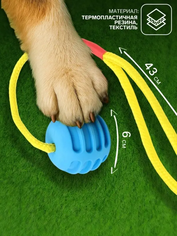 Игрушка &laquo;Шар усиленный на веревке&raquo;, 43 см, шар 6 см, голубой