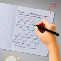 Комплект тетрадей из 10 штук, 24 листа в линию Calligrata "Пятёрка", обложка мелованный картон, ВД-лак, блок офсет, 5 видов по 2 штуки