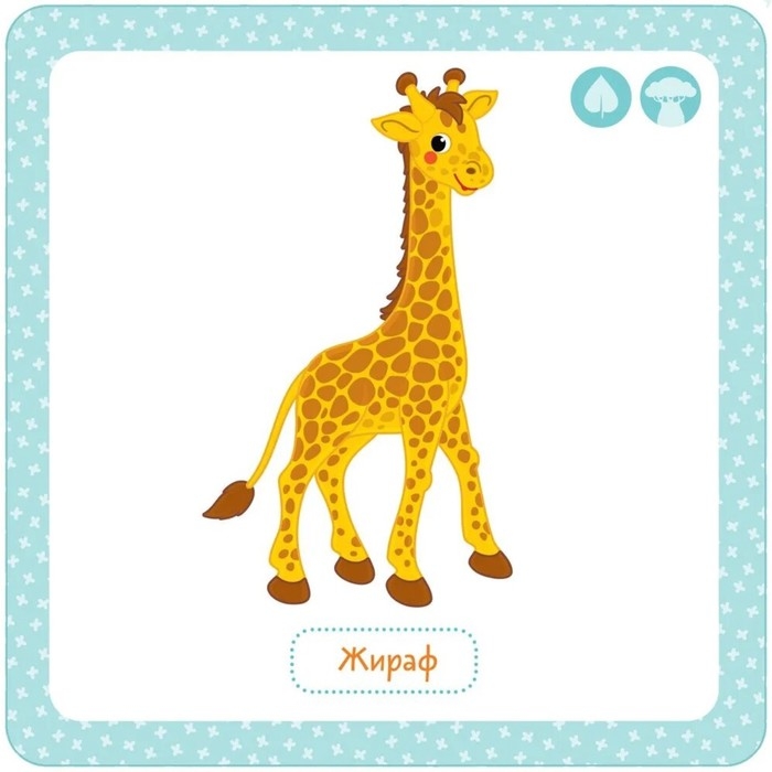 Многоразовые водные «Дикие животные» Многоразовые водные «Дикие животные»