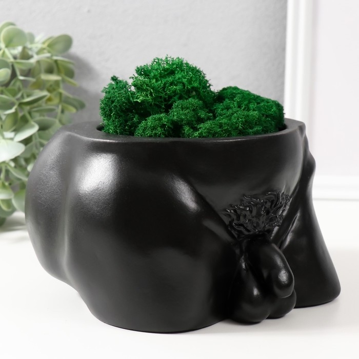 Кашпо бетонное Кашпо бетонное "Достоинство" со мхом высота 10 см,ширина 17 см черный (мох зеленый стабил)