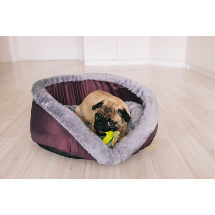 Лежак  Лежак "Ассоль", 57 x 32 x 28 см, красный