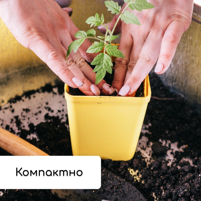 Набор для рассады: стаканы по 200 мл (18 шт.), поддон 36,5 × 17 см, цвет МИКС, Greengo Набор для рассады: стаканы по 200 мл (18 шт.), поддон 36,5 × 17 см, цвет МИКС, Greengo