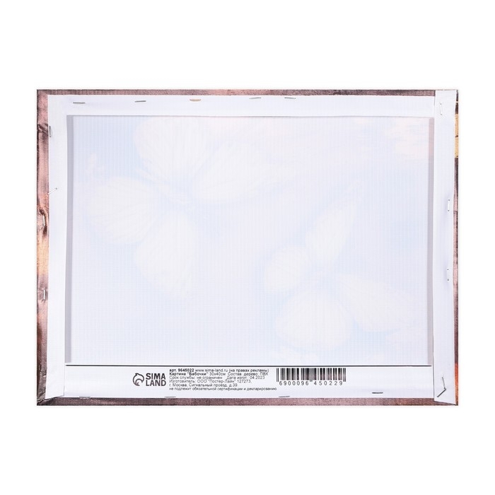 Картина «Бабочки», 30 х 40 см Картина «Бабочки», 30 х 40 см