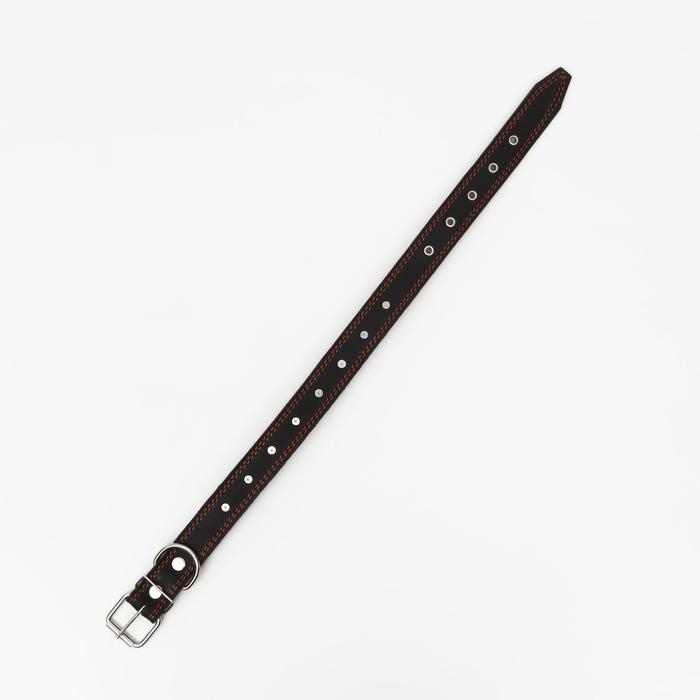 Ошейник кожаный Ошейник кожаный "Строгий шип", 70 х 3,5 см, ОШ 45-60 см, чёрный