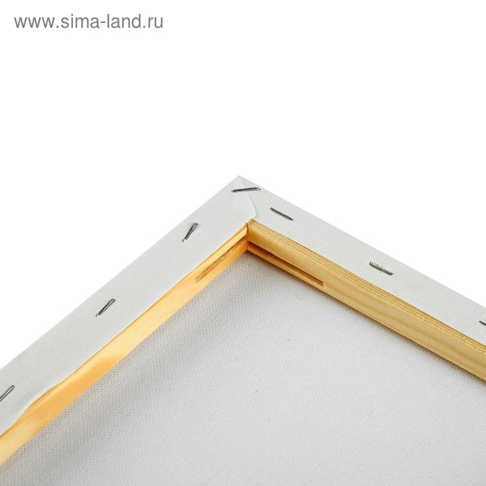 Холст на подрамнике, хлопок 100%, 40 х 40 х 1.8 см, акриловый грунт, мелкозернистый, 280 г/м² Холст на подрамнике, хлопок 100%, 40 х 40 х 1.8 см, акриловый грунт, мелкозернистый, 280 г/м²