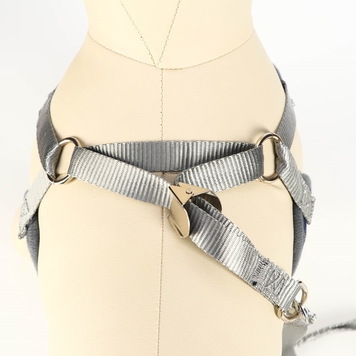 Комплект амуниции с мягкой шлейкой, М, поводок 120 х 1 см, ОШ 28-48 см, ОГ 32-52 см, серый Комплект амуниции с мягкой шлейкой, М, поводок 120 х 1 см, ОШ 28-48 см, ОГ 32-52 см, серый