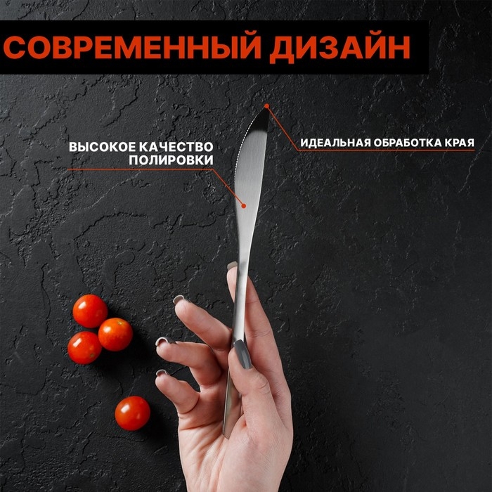Ножи столовые из нержавеющей стали Доляна Sentiment, длина 23 см, 6 шт, цвет серебряный Ножи столовые из нержавеющей стали Доляна Sentiment, длина 23 см, 6 шт, цвет серебряный