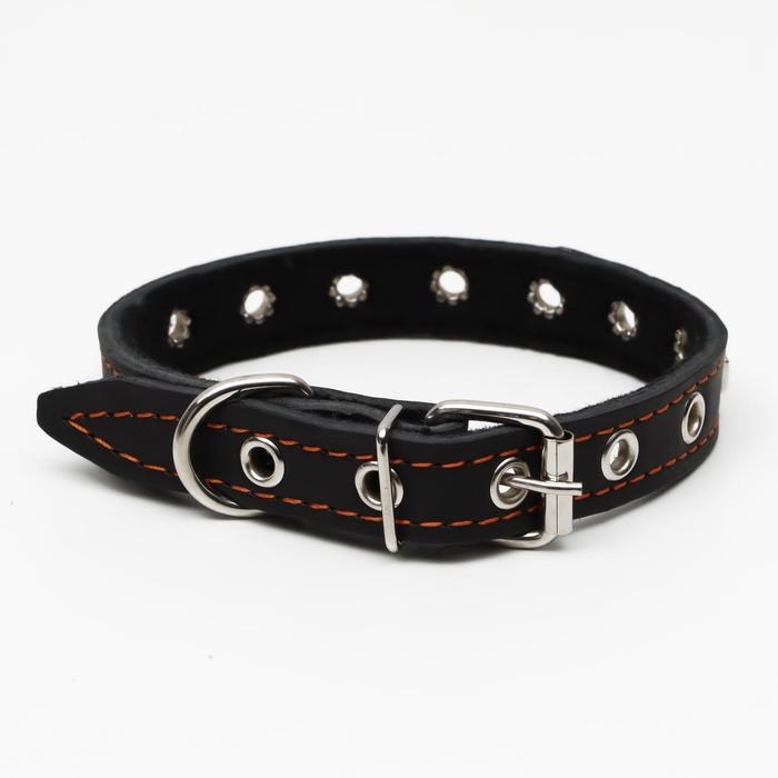 Ошейник кожаный  на синтепоне украшенный, безразмерный, 47 х 2 см, ОШ 28-39 см, чёрный Ошейник кожаный  на синтепоне украшенный, безразмерный, 47 х 2 см, ОШ 28-39 см, чёрный
