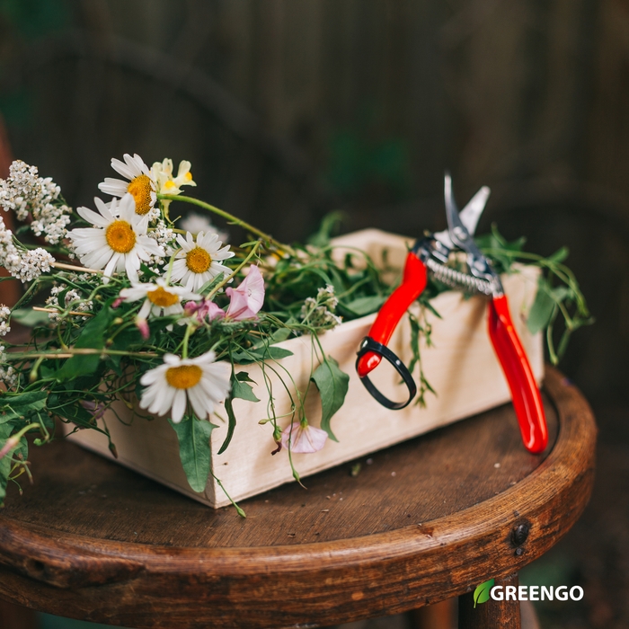 Ножницы садовые, 7 Ножницы садовые, 7" (18 см), с металлическими ручками, обрезиненная ручка, Greengo