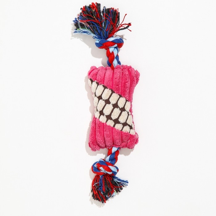 Игрушка мягкая для собак  Игрушка мягкая для собак "Особая кость на канате", с пищалкой, 25 см, микс цветов