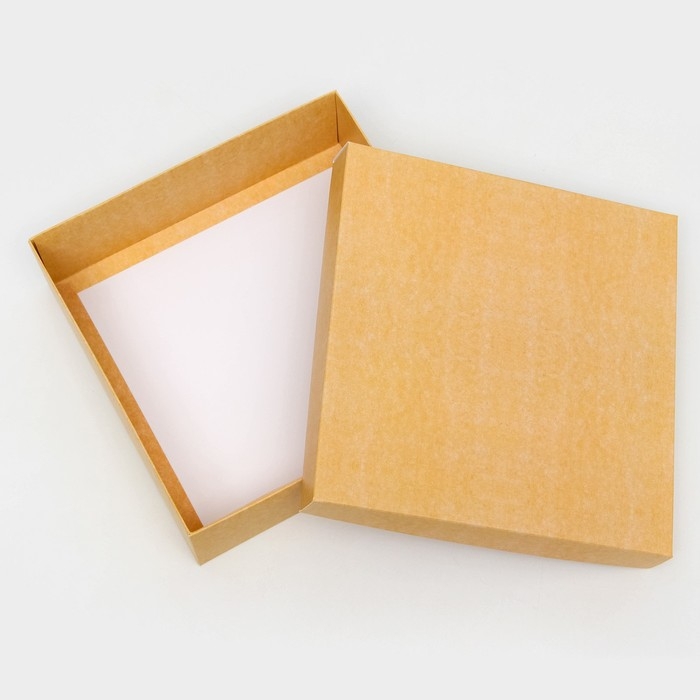 Коробка подарочная складная, упаковка, крышка-дно, крафт, 20 х 20 х 6 см Коробка подарочная складная, упаковка, крышка-дно, крафт, 20 х 20 х 6 см