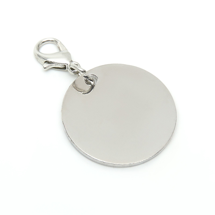 Адресник под гравировку Адресник под гравировку "Блестящая лапка" с карабином, 2,2 см, красный