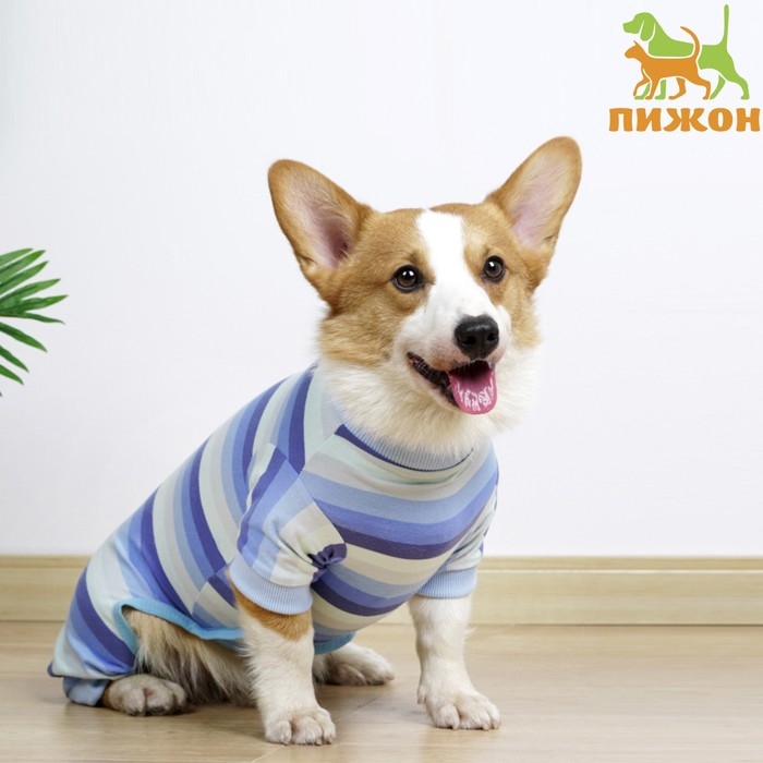 Попона послеоперационная, вискоза, размер ХL  (ОШ 31, ОГ 50, ОТ 39 см, вес 12-18 кг), голуба   96146 Попона послеоперационная, вискоза, размер ХL  (ОШ 31, ОГ 50, ОТ 39 см, вес 12-18 кг), голуба   96146