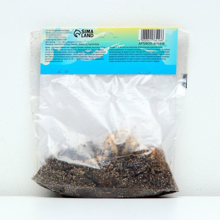 Лилия Многоцветная Лилия Многоцветная "Трайбл Дэнс", р-р 12/14, 3 шт,