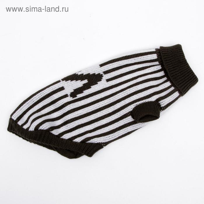 Свитер, размер 12 (ДС 36-51, ОШ 18-33, ОГ 32-47 см), микс расцветок Свитер, размер 12 (ДС 36-51, ОШ 18-33, ОГ 32-47 см), микс расцветок