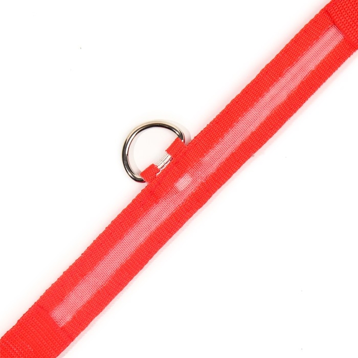 Ошейник с подсветкой размер М, ОШ 40-48 х 2,5 см, 3 режима свечения красный Ошейник с подсветкой размер М, ОШ 40-48 х 2,5 см, 3 режима свечения красный