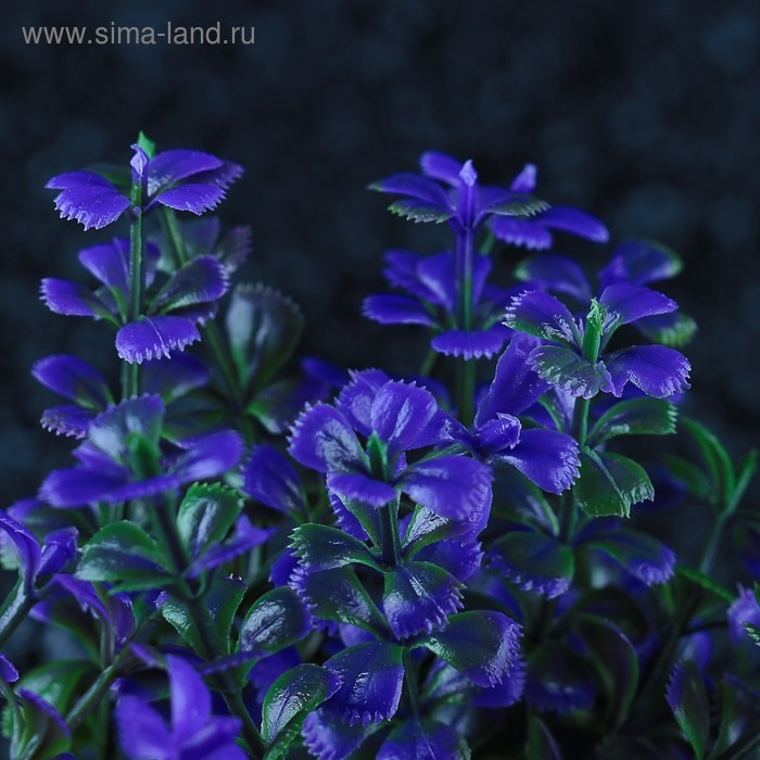 Набор растений искусственных для аквариума (2 шт), 10 см Набор растений искусственных для аквариума (2 шт), 10 см