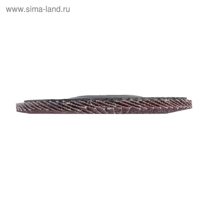 Круг лепестковый торцевой конический ЛОМ, 115 х 22 мм, Р60 Круг лепестковый торцевой конический ЛОМ, 115 х 22 мм, Р60