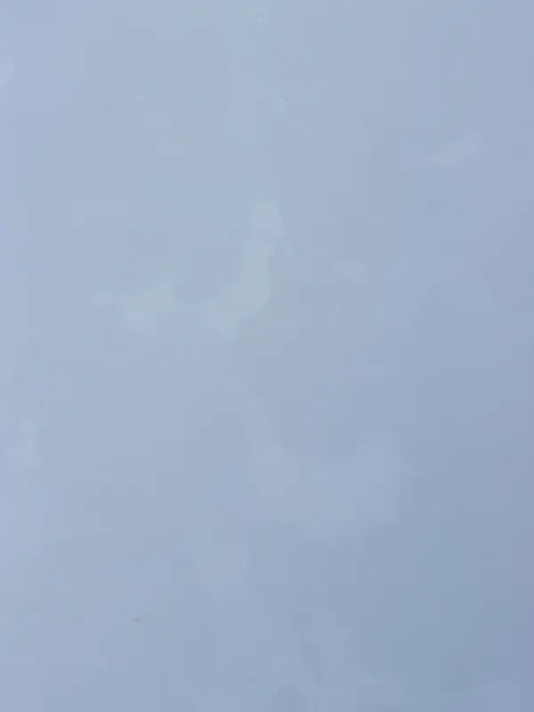 Пленка для цветов, "Эклер", бело-синий, 57х57 см