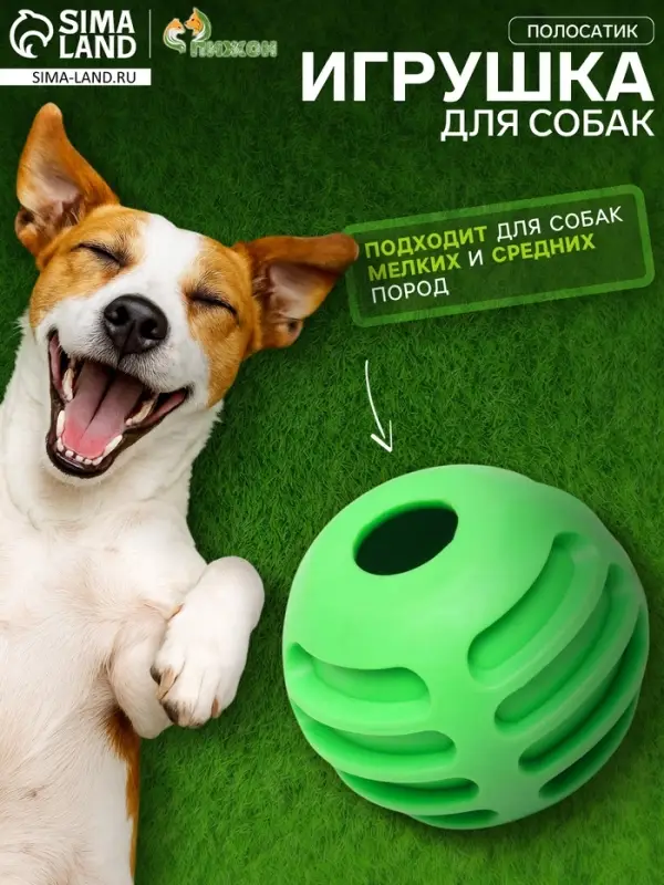 Мяч для собак &laquo;Полосатик&raquo;, 6 см, рифлёный, TPR, зелёный