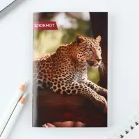 МИКС блокнотов А6, 32 листа &laquo;Животные&raquo;