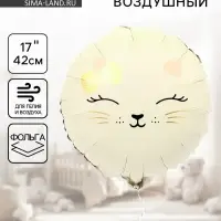 Воздушный шар фольгированный 17" &laquo;Кошечка&raquo;, набор 5 шт.