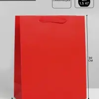 Пакет подарочный, упаковка, &laquo;Алый&raquo;, M 25.5&times;30&times;9 см, МИКС
