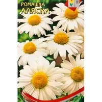 Набор семян Ромашка многолетняя крупноцветковая &laquo;Аляска&raquo;, 70 семян