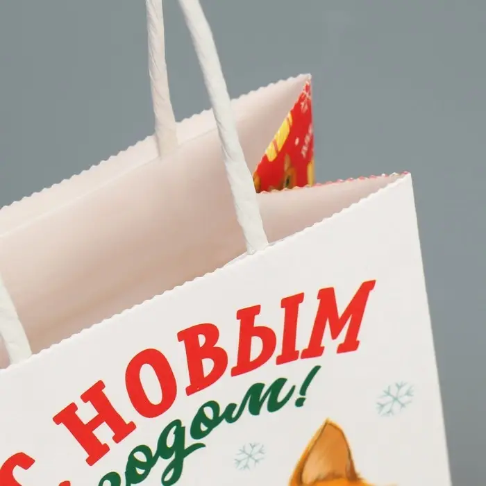 Пакет подарочный новогодний крафтовый «С Новым годом», 15 х 10 х 6 см Пакет подарочный новогодний крафтовый «С Новым годом», 15 х 10 х 6 см