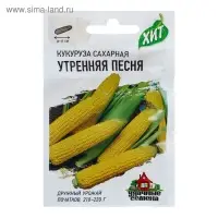 Семена Кукуруза сахарная "Утренняя песня", ц/п,  5 г  серия ХИТ х3 Семена Кукуруза сахарная "Утренняя песня", ц/п,  5 г  серия ХИТ х3