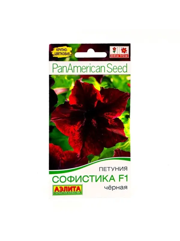 Набор семян Петуния Софистика черная F1 крупноцветковая, 4 шт., 2 шт. Набор семян Петуния Софистика черная F1 крупноцветковая, 4 шт., 2 шт.