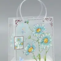 Пакет подарочный прозрачный, "Ромашки-васельки", 22 х 10 х 24 см