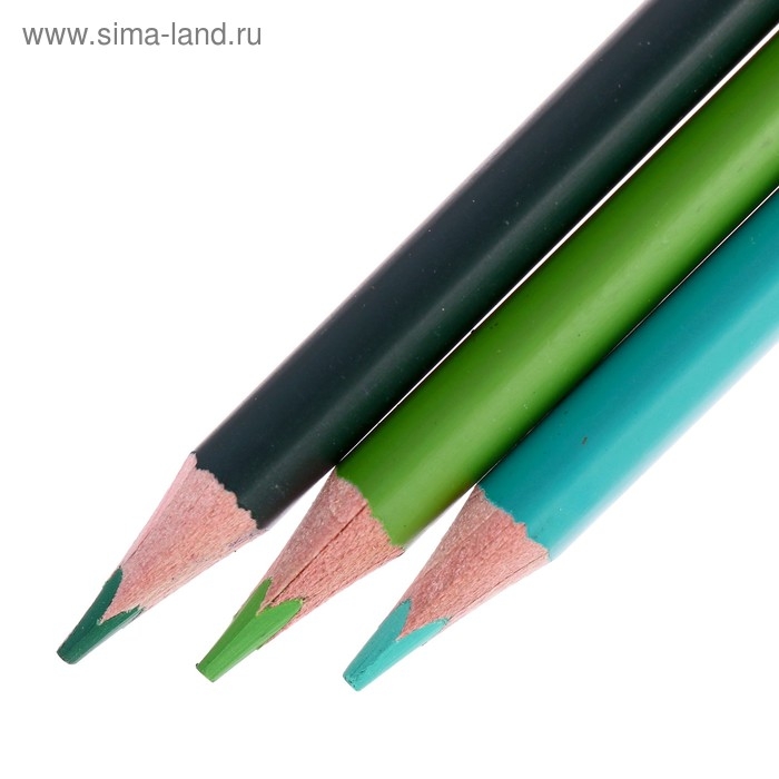 Карандаши акварельные 24 цвета Aquarelle, в металлической коробке с ложементом Карандаши акварельные 24 цвета Aquarelle, в металлической коробке с ложементом