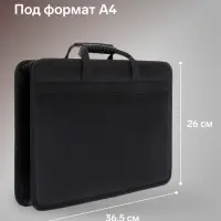 Папка с ручками текстильная, А4, 365&times;260&times;50 мм, 1С13 &laquo;Луга&raquo;, каркасная, чёрная