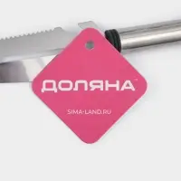 Шинковка, нож для нарезки, открывалка Доляна &laquo;Помощник&raquo;, 3 в 1, 19.5 см (лезвие 9.8 см), серебристый