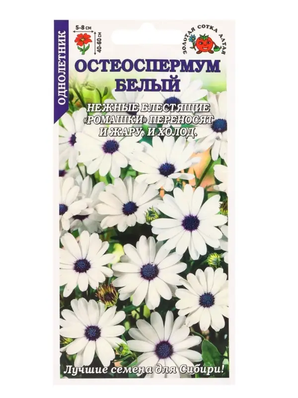 Семена Остеоспермум Белый /Сотка/ 0,1г/ h-60см, d-8см/*1200 Семена Остеоспермум Белый /Сотка/ 0,1г/ h-60см, d-8см/*1200